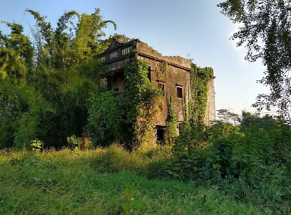 An abandoned building in China surrounded by trees, bushes and tall grass.