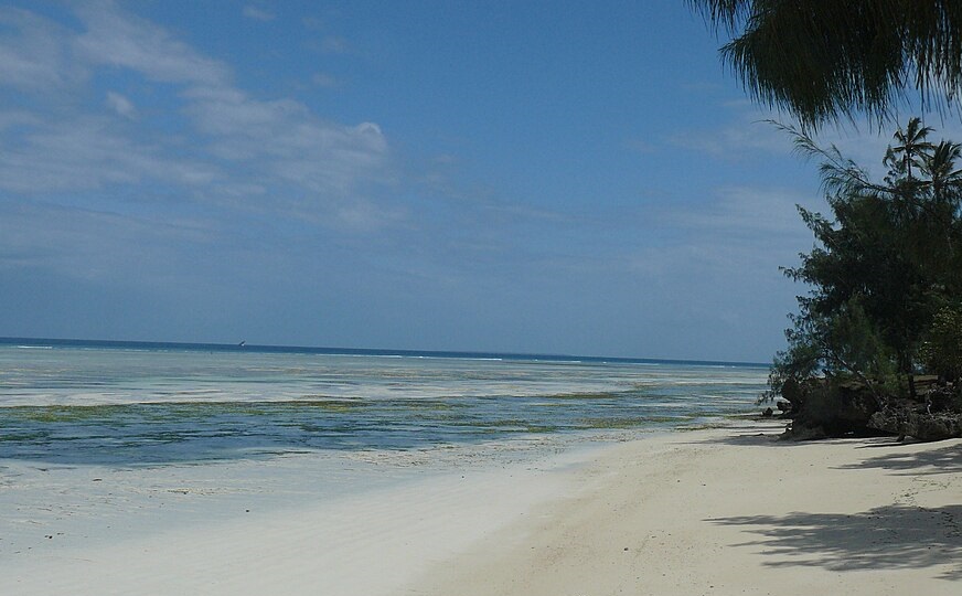 A beach and trees in Zanzibar under a partly cloudy sky.